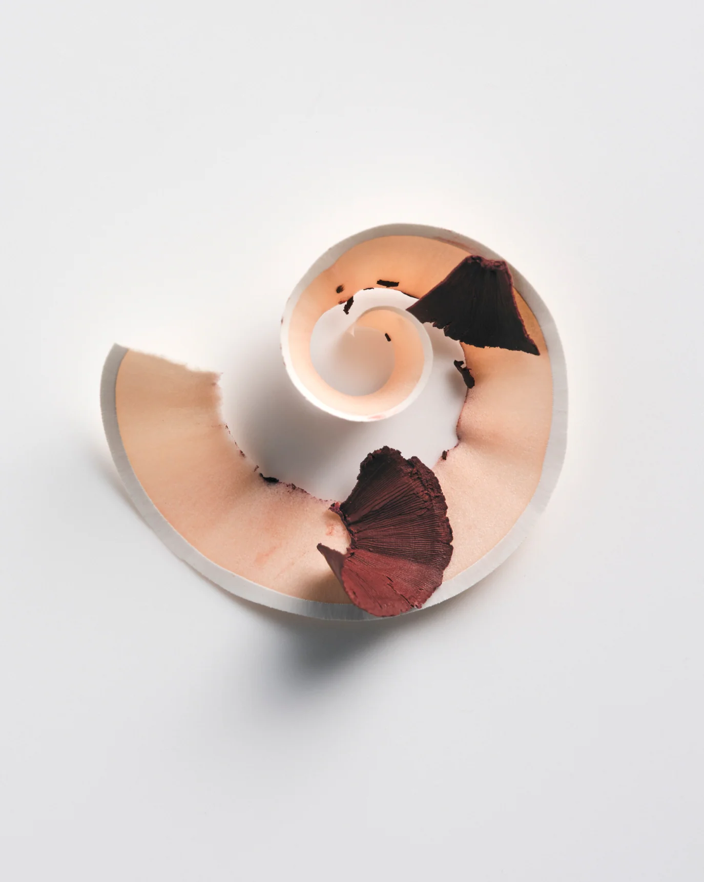 Lip Line - Image 49
